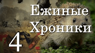 1 сезон 4 серия | Начало медвежьего конца